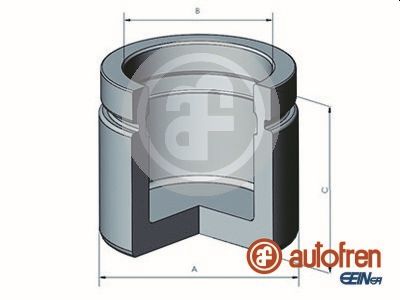 Поршень тормозного суппорта SEINSA D025612