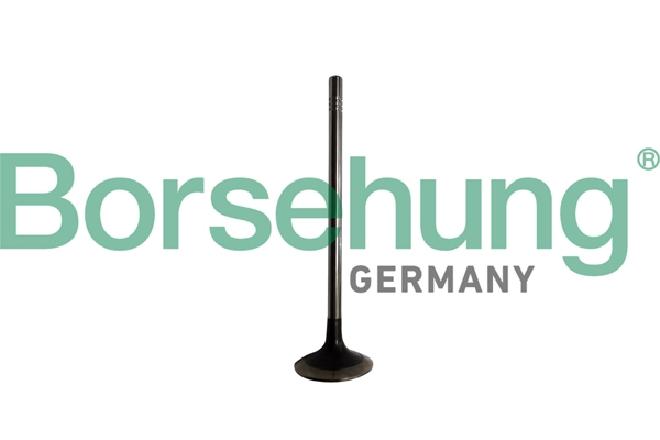Клапан грм BORSEHUNG B10329