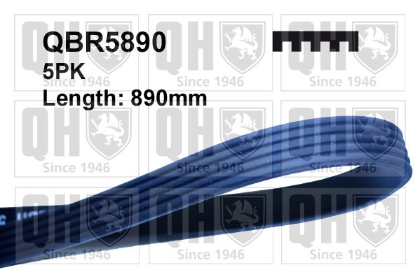  QUINTON HAZELL QBR5890