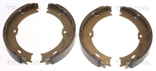 Комплект тормозных колодок стояночная тормозная система TRISCAN 8100 10023