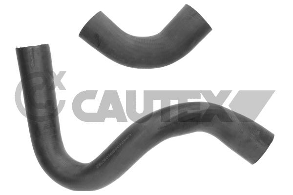 Запчасть CAUTEX 771022