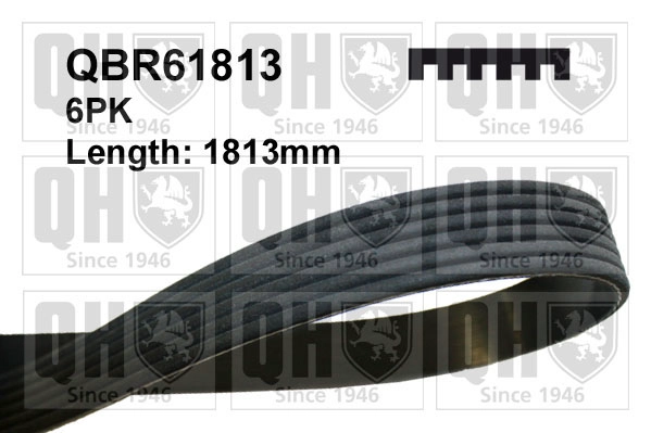 0 QUINTON HAZELL QBR61813
