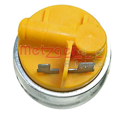  METZGER 2250073