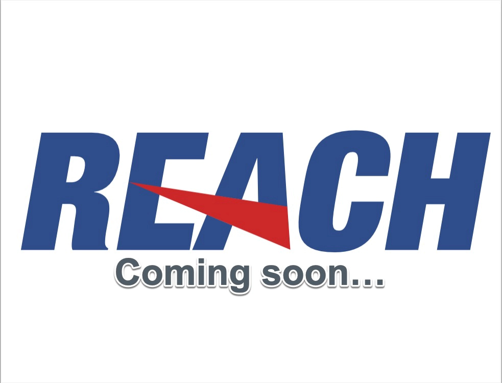 Радиатор масляный REACH 1.24.11068