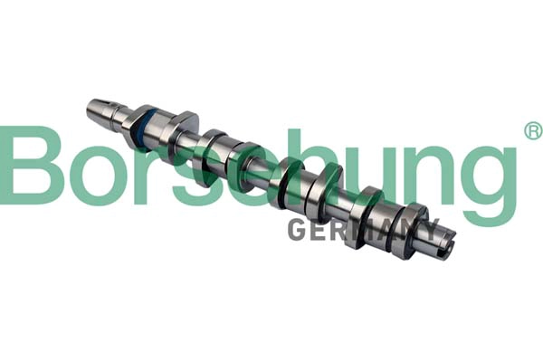Распредвал двигателя BORSEHUNG B11323