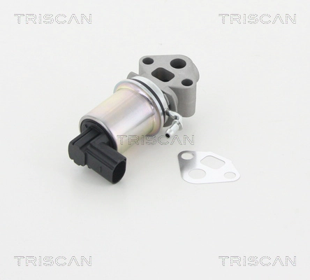 Клапан возврата ог TRISCAN 8813 29007
