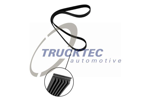 Поликлиновой ремень TRUCKTEC AUTOMOTIVE 07.19.071