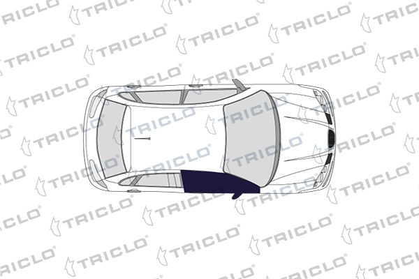 Наружная ручка двери TRICLO 123730