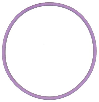Уплотнительное кольцо ELRING 813.583