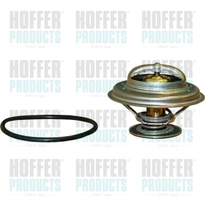 Термостат охлаждающая жидкость HOFFER 8192476