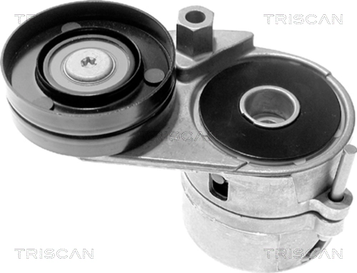 Натяжитель ремня клиновой зубча TRISCAN 8641 293008
