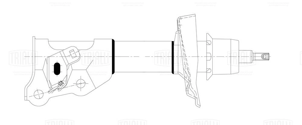 Амортизатор TRIALLI AG 23351
