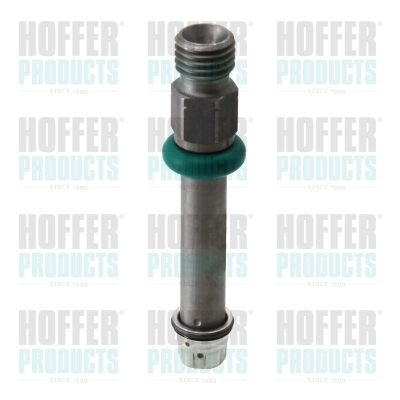 Клапанная форсунка HOFFER H75111041