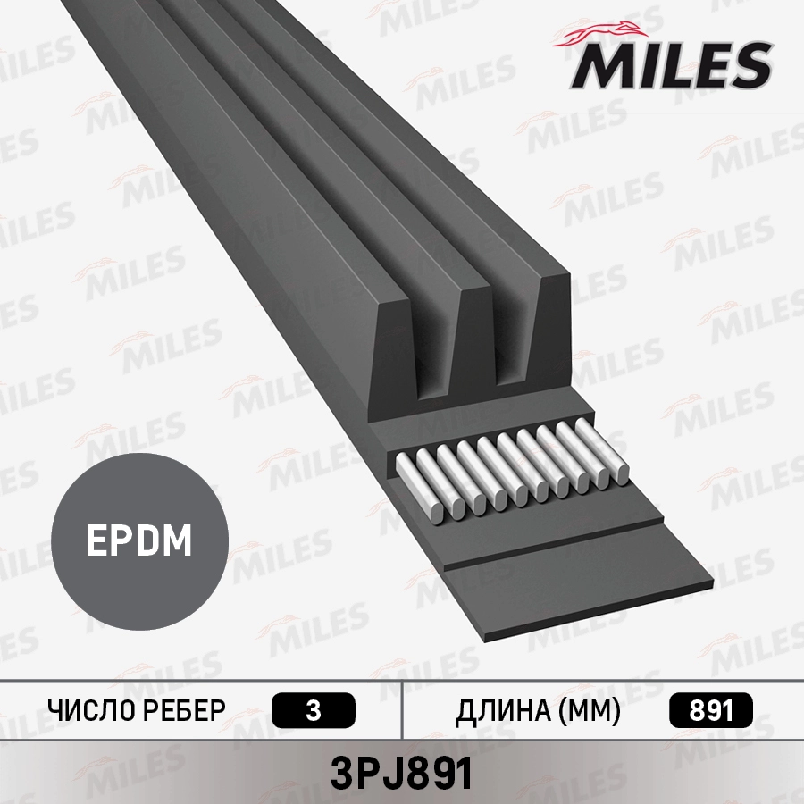 Поликлиновой ремень MILES 3PJ891