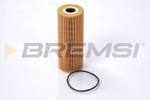 Масляный фильтр BREMSI FL0702