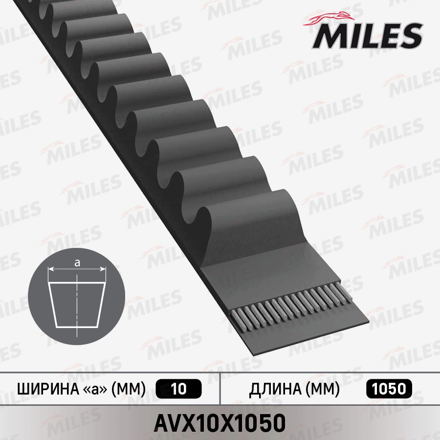 Клиновой ремень MILES AVX10X1050