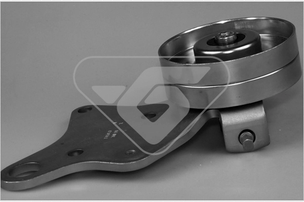 Натяжной ролик поликлиновой ремень HUTCHINSON T0290