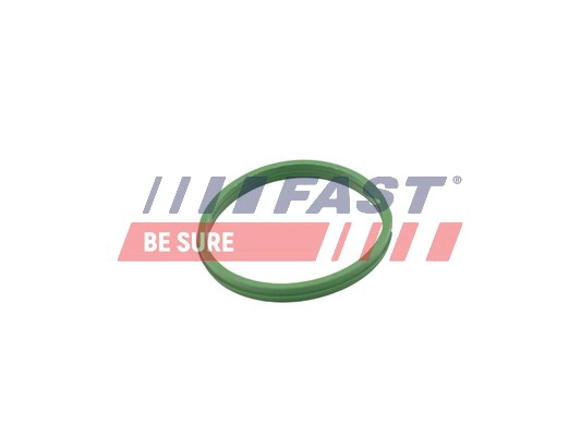 Уплотнительное кольцо резьбовая пробка маслосливн. отверст. FAST FT49855