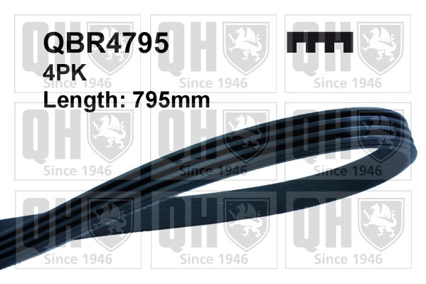 Поликлиновой ремень QUINTON HAZELL QBR4795
