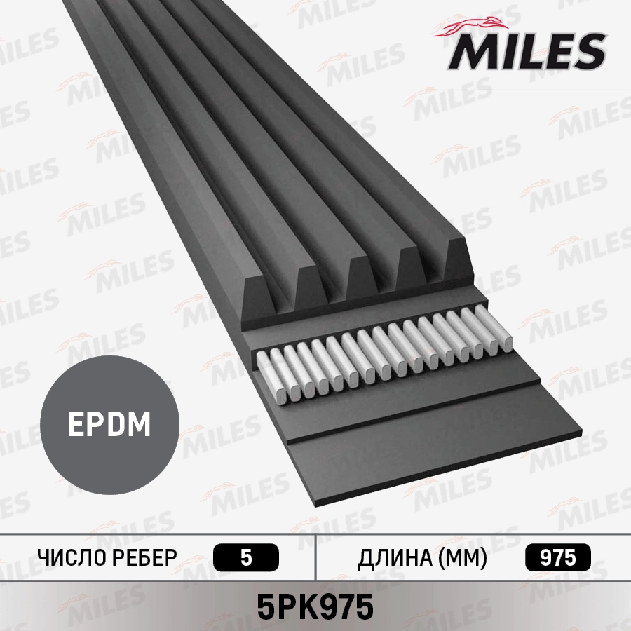 Поликлиновой ремень MILES 5PK975
