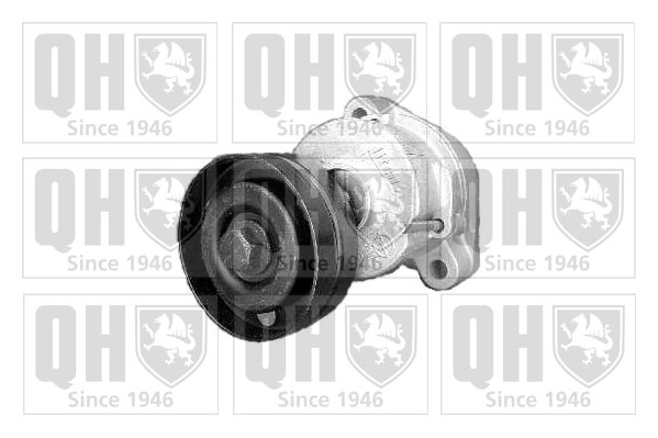 Натяжная планка поликлиновой ремень QUINTON HAZELL QTA898