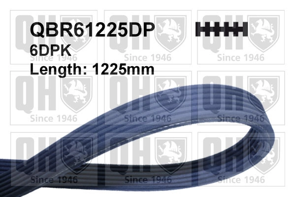 Поликлиновой ремень QUINTON HAZELL QBR61225DP