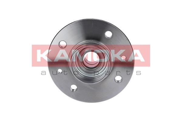 Комплект подшипника ступицы колеса KAMOKA 5500001
