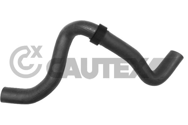 Шланг радиатора CAUTEX 086739