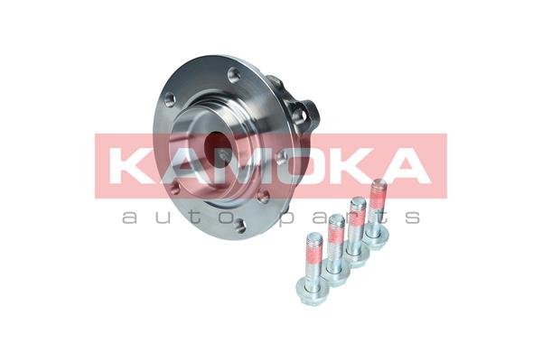 Комплект подшипника ступицы колеса KAMOKA 5500132