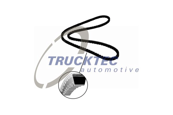 Клиновой ремень TRUCKTEC AUTOMOTIVE 03.19.049