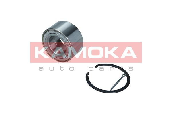 Комплект подшипника ступицы колеса KAMOKA 5600164