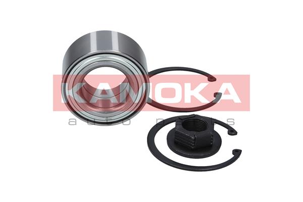 Комплект подшипника ступицы колеса KAMOKA 5600016