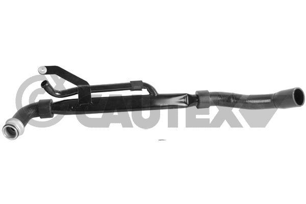 Шланг радиатора CAUTEX 031253