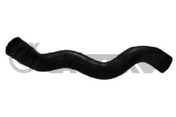 Шланг радиатора