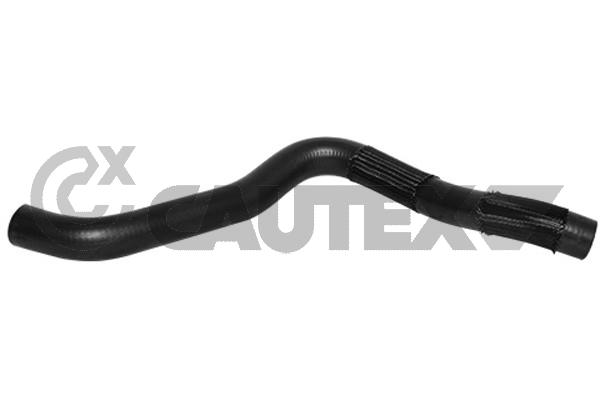 Шланг радиатора CAUTEX 754146