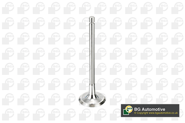 Впускной клапан