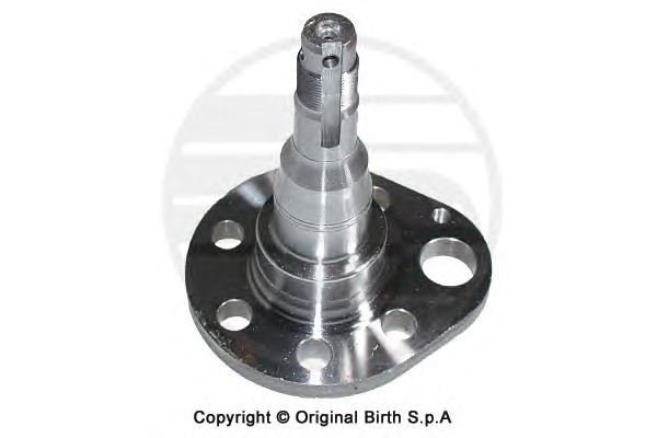 Ступица колеса BIRTH 3378