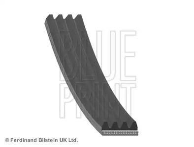 Ремень поликлиновой BLUE PRINT AD04R962