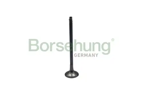 Клапан грм BORSEHUNG B10324