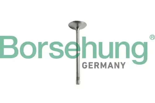 Клапан грм BORSEHUNG B10344