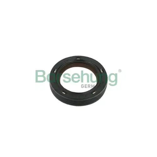 B18729 сальник р/в передний 32x47x10 BORSEHUNG B18729