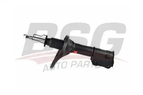 Амортизаторы bsg