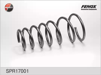 Пружина ходовой части FENOX SPR17001