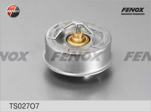 Термостат охлаждающей жидкости FENOX TS027O7