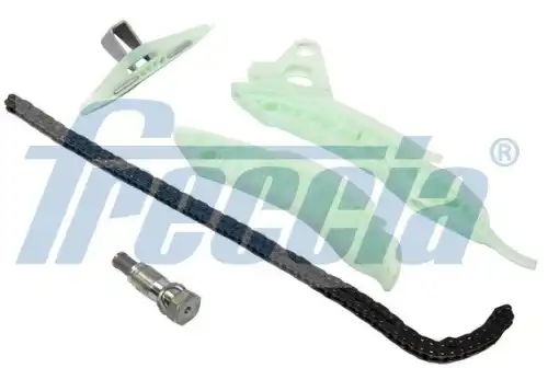 Комплект цепи грм FRECCIA TK08-1066