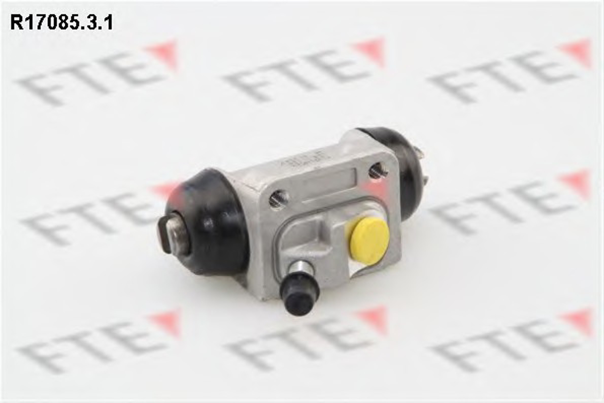 Цилиндр тормозной рабочий FTE R17085.3.1
