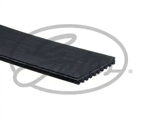 Gates GATES 10PK1250HD