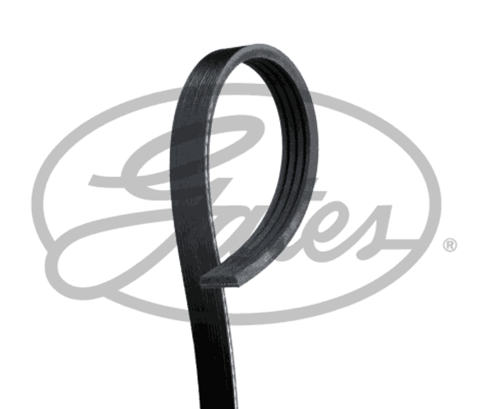 Ремень поликлиновой GATES 4PK560