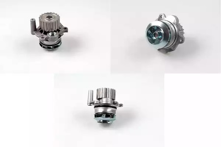 Водяной насос HEPU P549