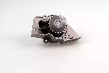 Насос водяной HEPU P889